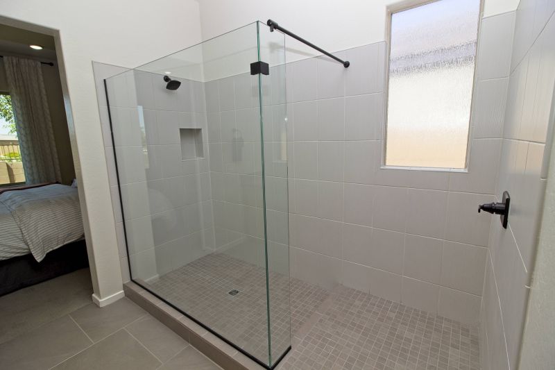 Modern Shower with Glass Doors